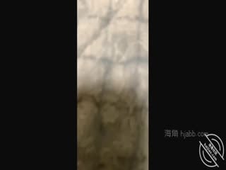 ✿绿意盎然✿趁大哥出差不在家让嫂子穿上情趣制服肏得嫂子淫水直流求饶边艹边挤出鲜甜的奶汁小声点别让邻家听到第02集}