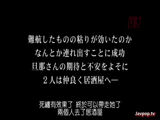 FTN-016仆の知らない妻を见たくて…16第02集}